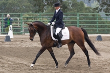 Horses Unlimited